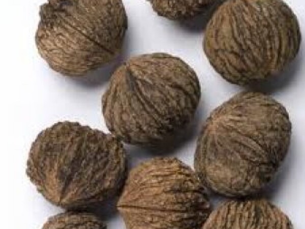 CRNI ORAH - Imate zapuštenu zemlju? RJEŠENJE JE TU!