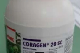 CORAGEN 100ML