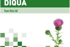 DIQUA