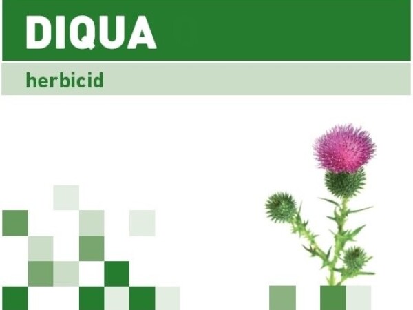DIQUA