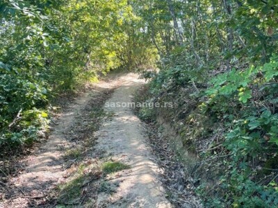 Prodajem šumu Radovašnica