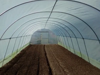 Plastenik 10x5x2,5m
