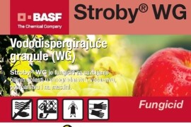 STROBY ® WG