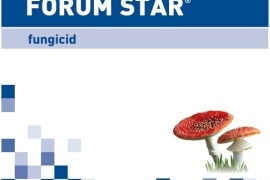 FORUM STAR®