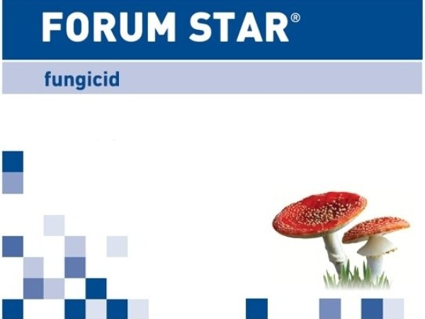 FORUM STAR®