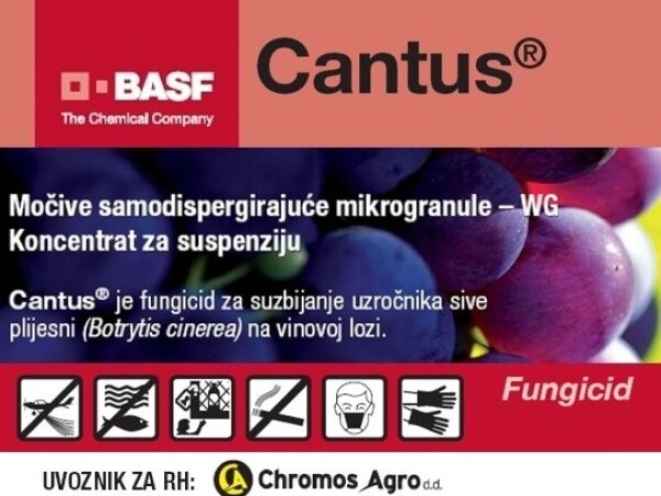 CANTUS®