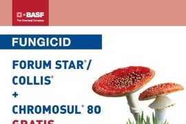 FORUM STAR ® / COLLIS ® / CHROMOSUL ® 80