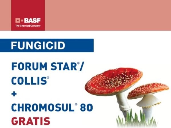 FORUM STAR ® / COLLIS ® / CHROMOSUL ® 80