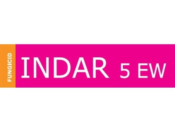 INDAR 5 EW