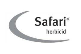 SAFARI