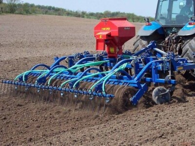 Prodajemo sjeme Rauole