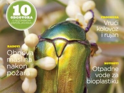 Mila Bulimbašić Botteri