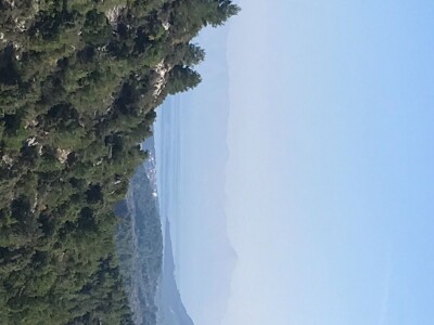 Vinograd na otoku Hvaru,53.000m2