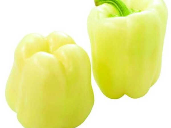 Sjeme paprike Salana F1