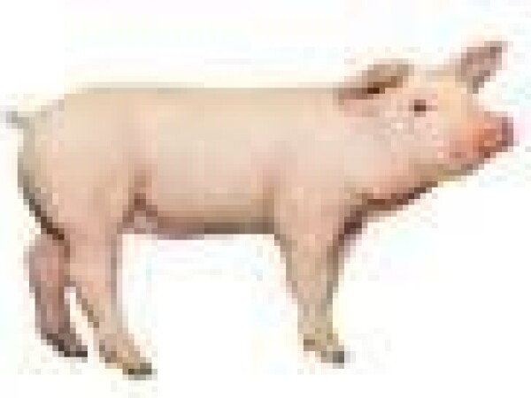 Schaumalac F Start 30 Protect top super za sisajuću fazu i odbiće prasadi