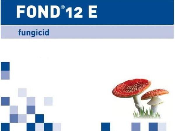 Fond ® 12 E