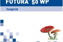 Futura ® 50 WP