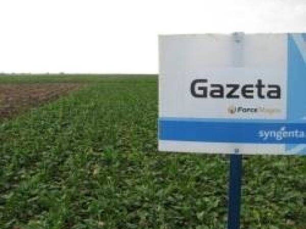 Gazeta - šećerna repa