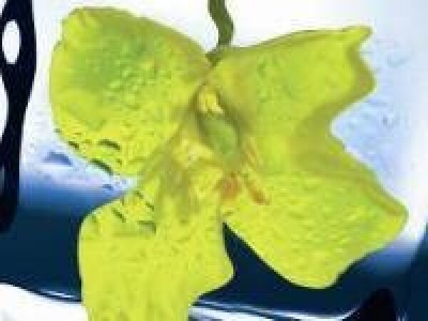 NK Technic - uljana repica