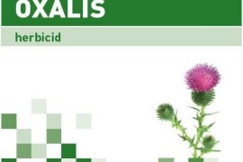 Oxalis ®