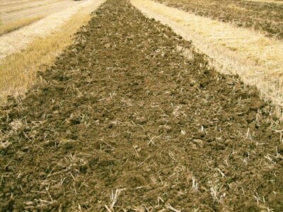 STROM TERRALAND - podrivač za jeftinu obradu tla do dubine 65 cm