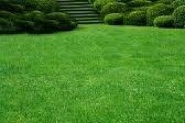 Zeogravel-prirodni zeolit za vegetaciju