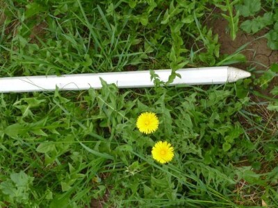 Kolac za vinograd 40