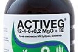ACTIVEG 12-4-6+0,2MgO+TE