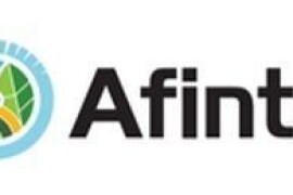 Afinto