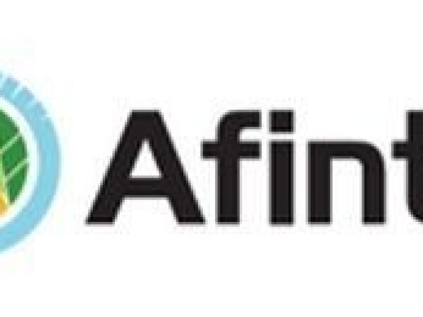 Afinto