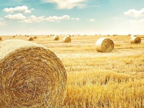 Agro investicijski krediti za kupnju poljoprivrednog zemljišta