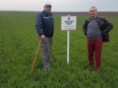 Aleox Agro-bioloski stimulator za razvoj i rast biljaka