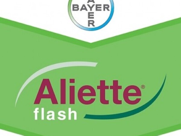Aliette Flash