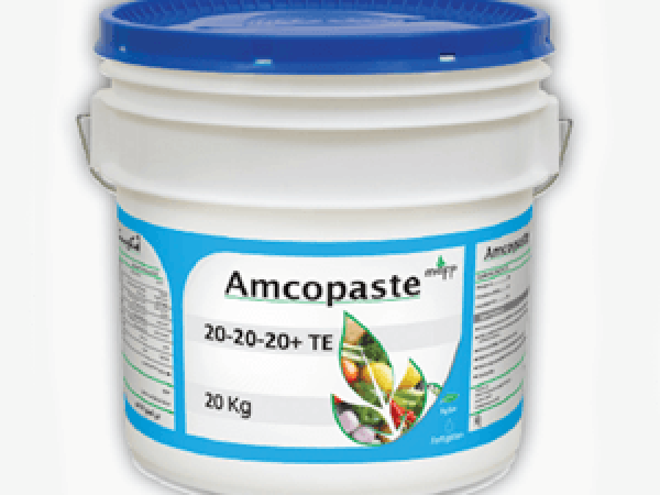 Amcopaste
