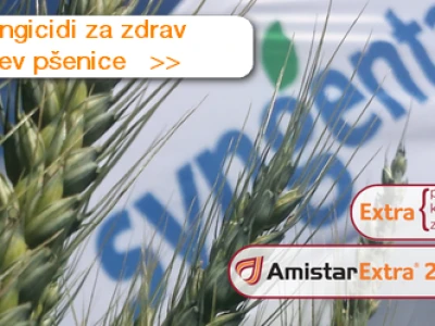 Amistar Extra 280 SC