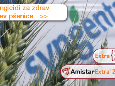 Amistar Extra 280 SC