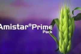Amistar Prime