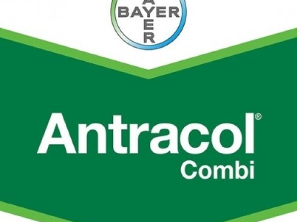 Antracol Combi WP 76