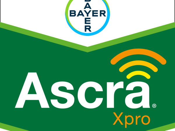 ASCRA XPRO