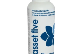 Asset Five