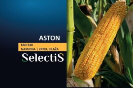 ASTON - SelectiS hibrid kukuruza
