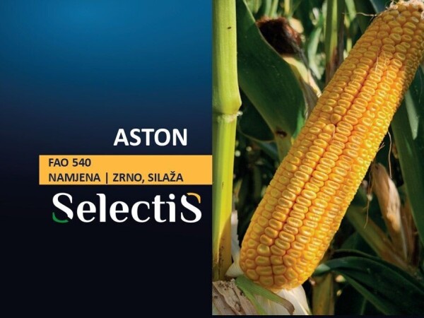 ASTON - SelectiS hibrid kukuruza