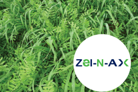 Djetelinsko-travna smjesa Zel-N-AX