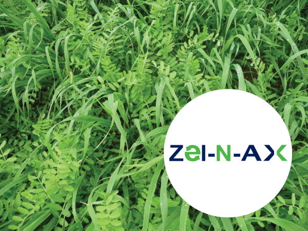 Djetelinsko-travna smjesa Zel-N-AX