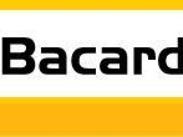 SY Bacardi CLP- hibrid suncokreta