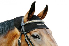 Terapeutska kapa za konja BoT