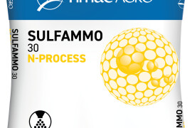 SULFAMMO 30 N-PROCESS