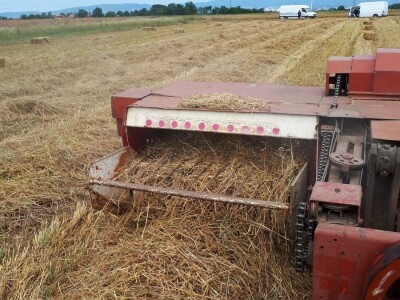 Balirka international 422