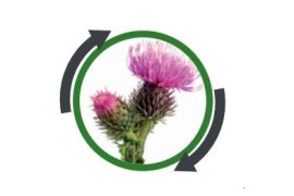 Basagran 480 - kontaktni herbicid