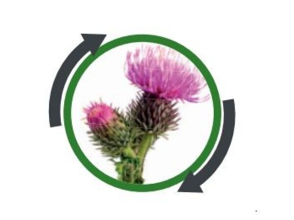 Basagran 480 - kontaktni herbicid